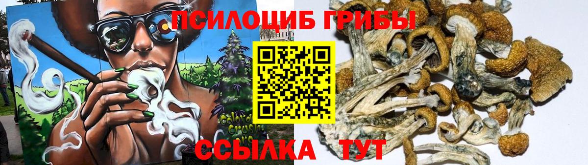 Псилоцибиновые грибы Magic Shrooms Лысьва