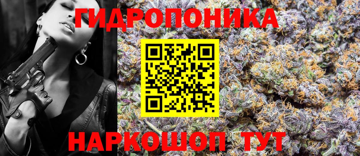 Каннабис планчик Лысьва
